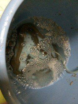 ウナギを釣りに紀ノ川へ〜９時頃にアタリが集中