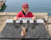 黒島の磯　ヤエンでのアオリイカ釣果