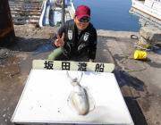 黒島の磯　ヤエンのほかエギングでもアオリイ…