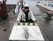 黒島の磯　ピンクのエギでアオリイカをキャッ…