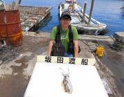 黒島の磯　小型ながらもヤエンでアオリイカの釣果