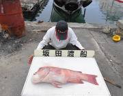 黒島の磯	ウニをエサにカンダイ77cmがヒ…