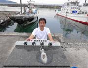 黒島の磯のアオリイカ〜エギング・ヤエンどちらも釣果ありました