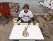 黒島の磯のアオリイカ〜エギング・ヤエンどち…