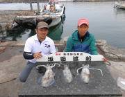 黒島の磯のアオリイカ　エギは3.5号、4号…