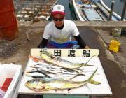 黒島の磯にてルアーでの釣果〜シイラ2匹&a…