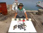 黒島の磯でイシダイ2枚のほか良型カワハギも…