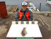 黒島の磯のアオリイカ　エギは3.5号、4号を使用　