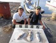 黒島の磯	ヤエンでのアオリイカ釣果