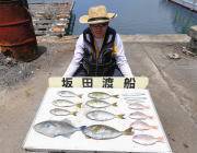 黒島の筏　胴付でアイゴ・ウマヅラ・チャリコ…