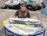 トップウォタールアーでシイラ72〜90cm…