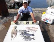 湾内の筏　チヌ3枚の釣果