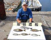 湾内の筏・黒島の筏でのチヌ・アイゴ釣果