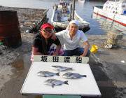 湾内の筏でのチヌ釣果