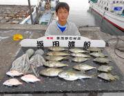 黒島の筏　オキアミ・シラサのエサでアイゴ・…