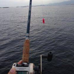 西宮浜　タコジグでのタコ狙い　次はサイズアップを