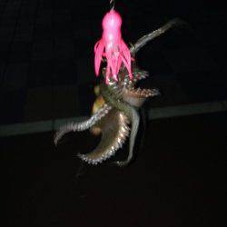 夕方からタコ狙いで釣行〜棚が絞れず苦労しましたが4ハイキャッチ