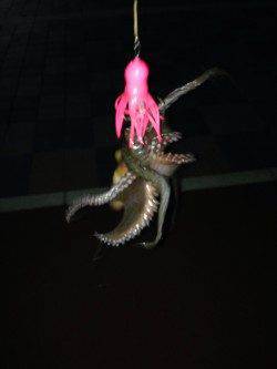 夕方からタコ狙いで釣行〜棚が絞れず苦労しましたが4ハイキャッチ