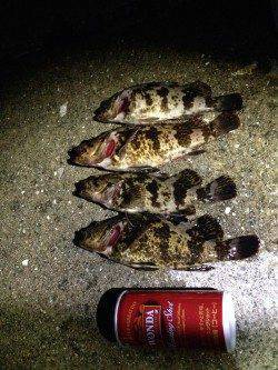 南芦屋浜石畳穴釣りでタケノコメバル〜石の隙間を狙いコツコツ釣れました