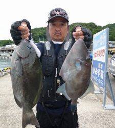 神谷沖一文字外向きでカゴ釣り　グレ&ウマヅラ