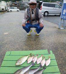 神谷沖一文字　カゴ釣りでイサギ・アイゴ・チャリコの釣果