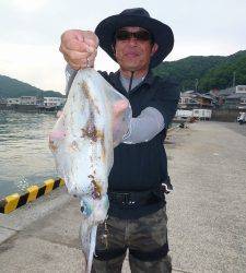 神谷一文字　エギングでアオリイカの釣果あり