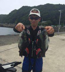 沖の赤島にてグレ7匹	、良く釣れていました☆