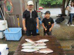 田井の海上釣り堀でマダイ・シマアジ、エサはイワシを使用