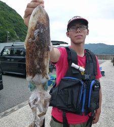 神谷一文字　ヤエンでのアオリイカ釣果