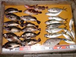 夜通しでメバル狙い！良型メバルにアジなど釣…