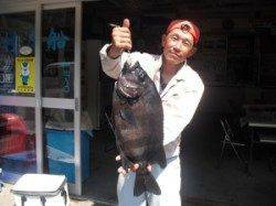 イシダイ54.5cm！ 大磯にて大型底物釣果