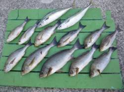 沖一文字内向き、夜通しのカゴ釣りでイサギ・…