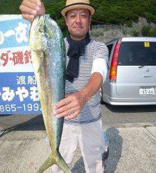 かご釣り～飲ませ釣りでシイラ！神谷沖一文字内向き