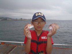 【7日】須磨海づり公園のサビキ釣果