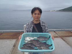 サビキでウマヅラハギ！他アジ、イワシ　須磨…