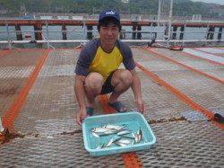 須磨海づり公園　サビキでアジ&イワシ