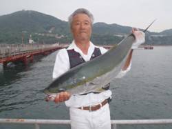 須磨海づり公園　ノマセでメジロ88.5cm…