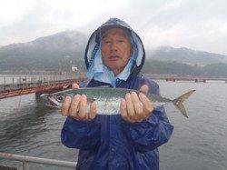 須磨海づり公園　ウキサビキでサバ43cm