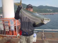 須磨海づり公園　メタルジグでブリ93cmが…