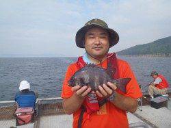 須磨海づり公園　落とし込みでイシダイの釣果