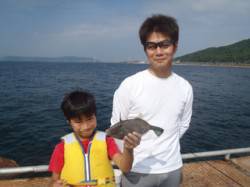 須磨海づり公園、サビキでウマヅラハギ