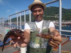 須磨海釣り公園　ぶっこみ釣りでガシラ2尾