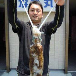 ヤエンでアオリイカの釣果　湯浅の磯