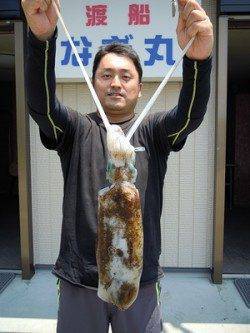 ヤエンでアオリイカの釣果　湯浅の磯