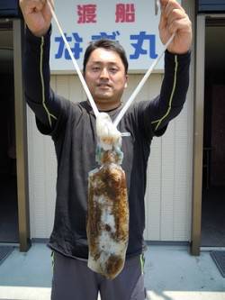 ヤエンでアオリイカの釣果　湯浅の磯