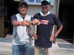 ヤエンでアオリイカの釣果　湯浅の磯