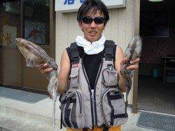 湯浅の磯でヤエン釣り　アオリ2杯