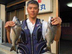 湯浅の磯、紀州釣りでチヌ2枚