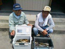 フカセ釣りでアイゴ30匹！エサは酒カスを使用