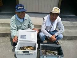 フカセ釣りでアイゴ30匹！エサは酒カスを使…